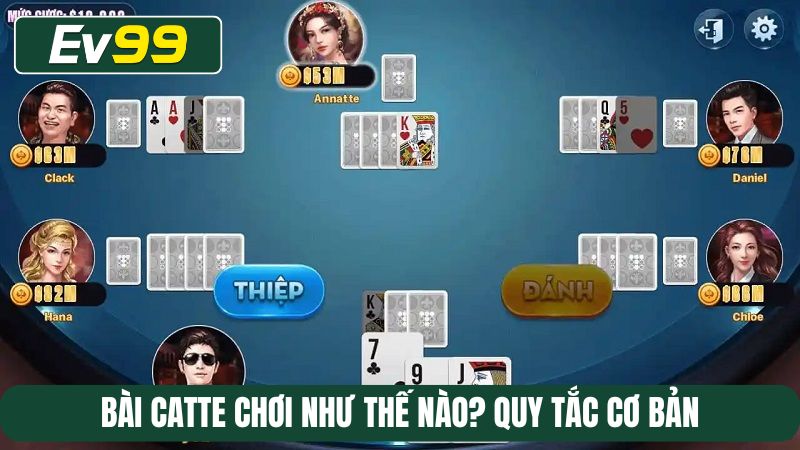 Bài Catte chơi như thế nào? Quy tắc cơ bản