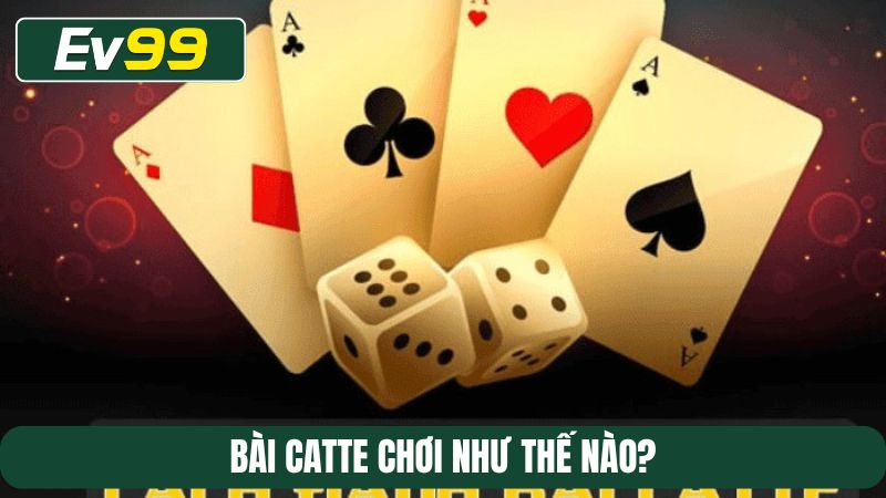 Bài Catte chơi như thế nào