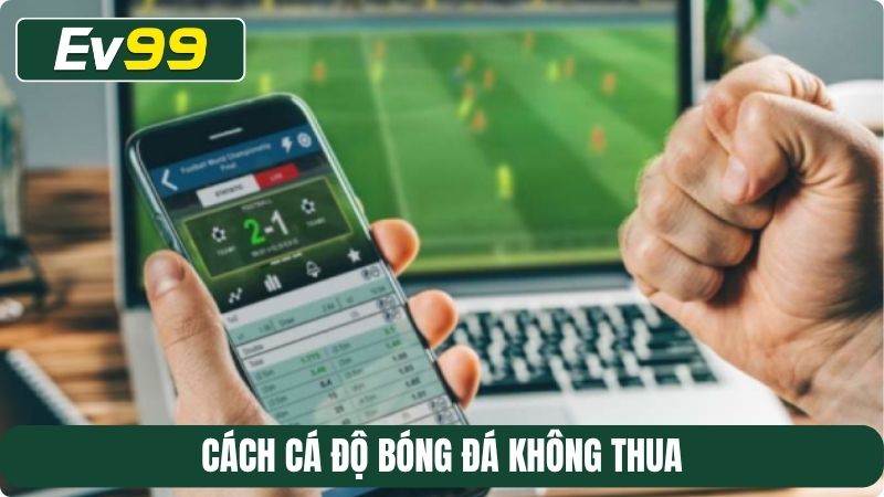 Cách cá độ bóng đá không thua