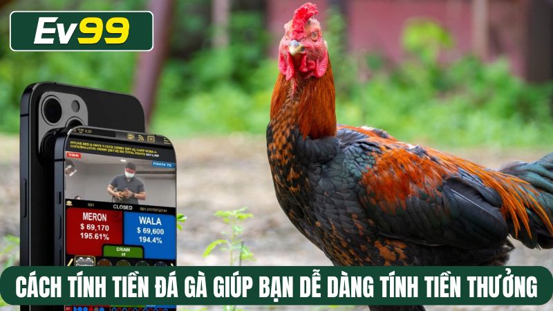 Cách tính tiền đá gà giúp bạn dễ dàng tính tiền thưởng