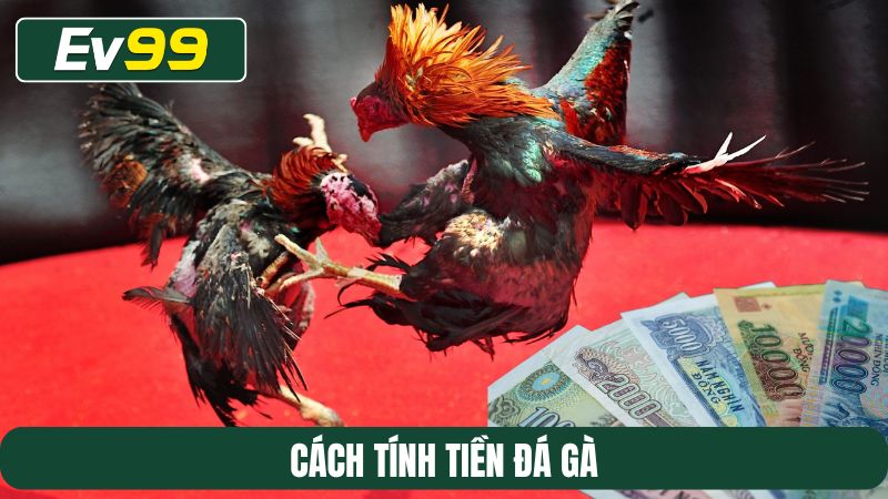 cách tính tiền đá gà