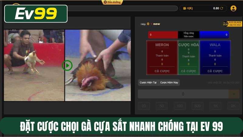 Đặt cược chọi gà cựa sắt nhanh chóng tại EV 99