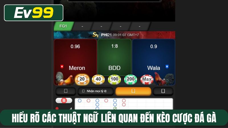 Hiểu rõ các thuật ngữ liên quan đến kèo cược đá gà