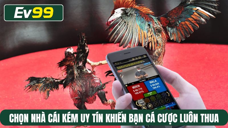 Lựa chọn nhà cái kém uy tín khiến bạn cá cược luôn thua