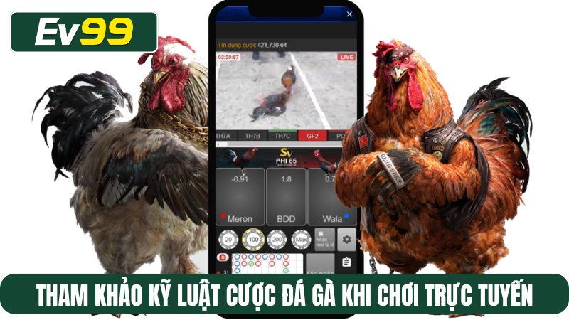 Tham khảo kỹ luật cược đá gà khi chơi trực tuyến