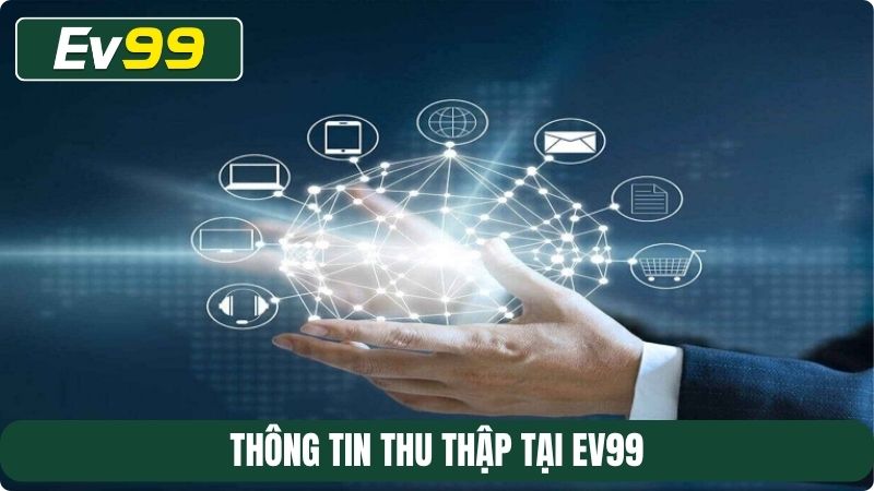 Thông tin thu thập tại EV99