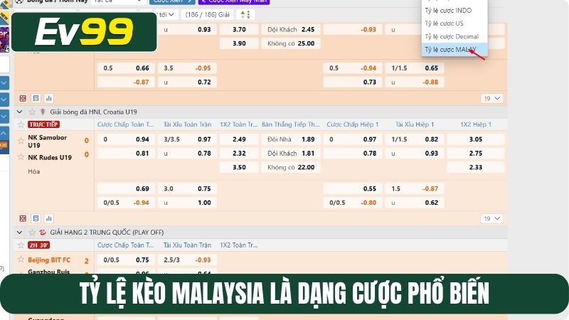Tỷ lệ kèo Malaysia là dạng cược phổ biến