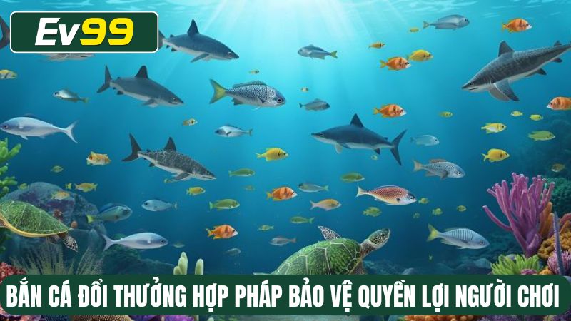 Bắn cá đổi thưởng hợp pháp bảo vệ quyền lợi người chơi