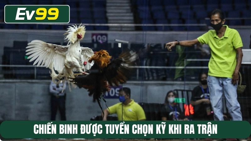 Chiến binh được tuyển chọn kỹ khi ra trận