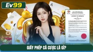 giấy phép cá cược là gì