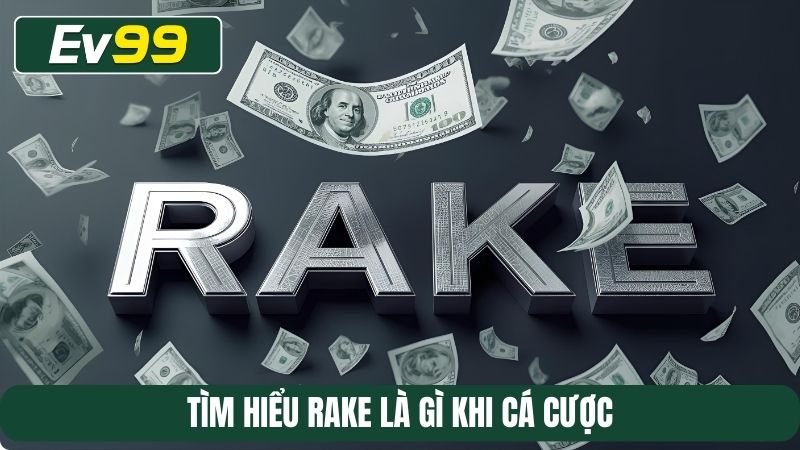Tìm hiểu rake là gì khi cá cược