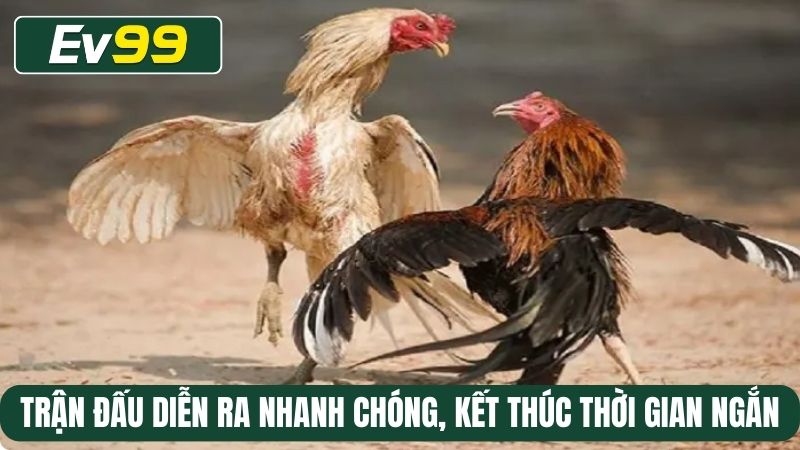 Trận đấu diễn ra nhanh chóng, kết thúc thời gian ngắn